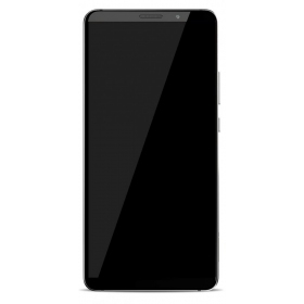 Huawei Mate 10 Pro skjerm (svart) (Titanium Gray) (no logo)