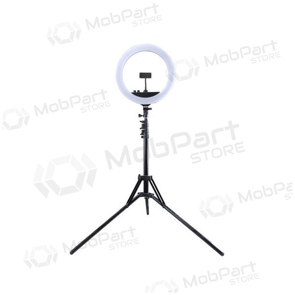 LED žiedinė lampe 34.5cm, su trikoju stovu iki 1.85m, veidrodžiu og telefono laikikliu, USB LED žiedinė lampe 34.5cm, su trikoju stovu iki 1.85m, veidrodžiu og telefono laikikliu, USB